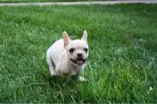 ImageUploadedByTapatalk1406766828.301387.webp ImageUploadedByTapatalk1406766828.301387.webp