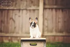 tuko-116FB.webp