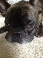 8.1 2014 015.webp