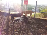 20140809_183731.webp
