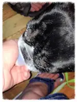 ImageUploadedByTapatalk1409192244.323133.webp