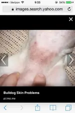 image.webp image.webp