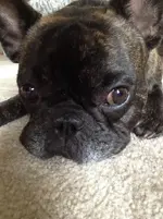8.1 2014 016.webp