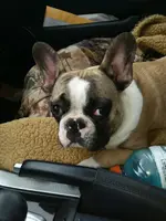 uploadfromtaptalk1410144738469.webp uploadfromtaptalk1410144738469.webp