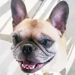 constance.webp constance.webp