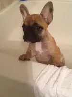 quella_bath.webp