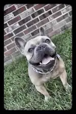 ImageUploadedByTapatalk1415022794.225474.webp