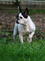 zoe.webp