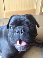 325480164192629.webp