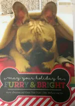 Xmas card.webp