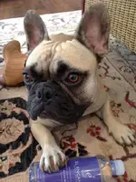 FullSizeRender (75).webp FullSizeRender (75).webp