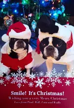 IMG_20141206_130346_edit.webp