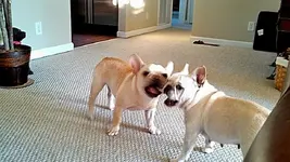 IMG_20141030_175818_818.webp