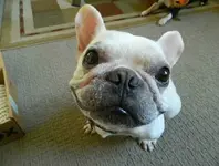 smile.webp