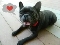 smile.webp
