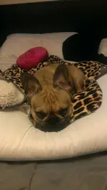 IMAG1370.webp