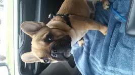 20141114_150933.webp