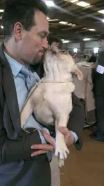 IMAG3277.webp