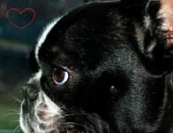 Wally Valentine.webp