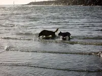 IMG_0703.webp IMG_0703.webp