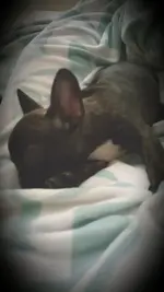 2015-03-08 17.18.04.webp