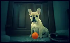 Chester Play Time _Fotor.webp