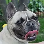 barbara.webp