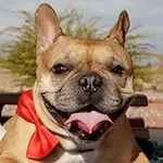 bransyn-profile.webp bransyn-profile.webp