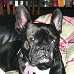 ramiro-profile.webp ramiro-profile.webp