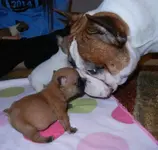 FB_IMG_1433115897742-1.webp FB_IMG_1433115897742-1.webp