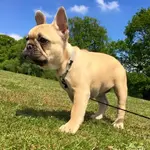 11407163_901418249896867_8967451086412051393_n.webp 11407163_901418249896867_8967451086412051393_n.webp