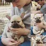 11377117_901882649850427_1131817403082232237_n.webp 11377117_901882649850427_1131817403082232237_n.webp