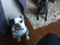 image.webp image.webp