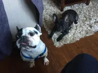 image.webp image.webp