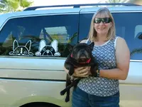 decals & cookie jar 009.webp