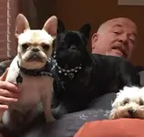 image.webp image.webp