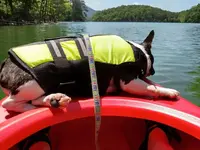 kayak3.webp kayak3.webp