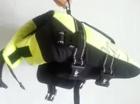 life vest.webp