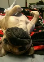 IMAG1375_1.webp