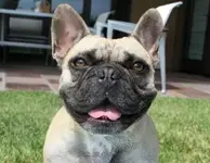 jakesmilin.webp