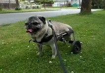 crash cart.webp