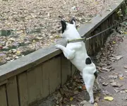 3sLH3UhoJEE.webp