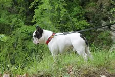 16n_mo1uxus.webp