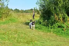 p13.webp