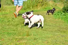 p20.webp
