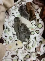 20151015_103934.webp