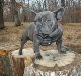 ADULTS_12_-9-12_033.webp ADULTS_12_-9-12_033.webp