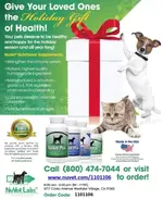 holidayflyer.webp