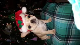 20151219_202533.webp