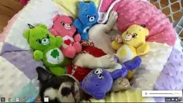 Screenshot 2016-01-05 at 12.46.50 PM.webp